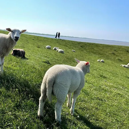 Deichkind, Am Alten Deich 4-6, 2 28 Dangast