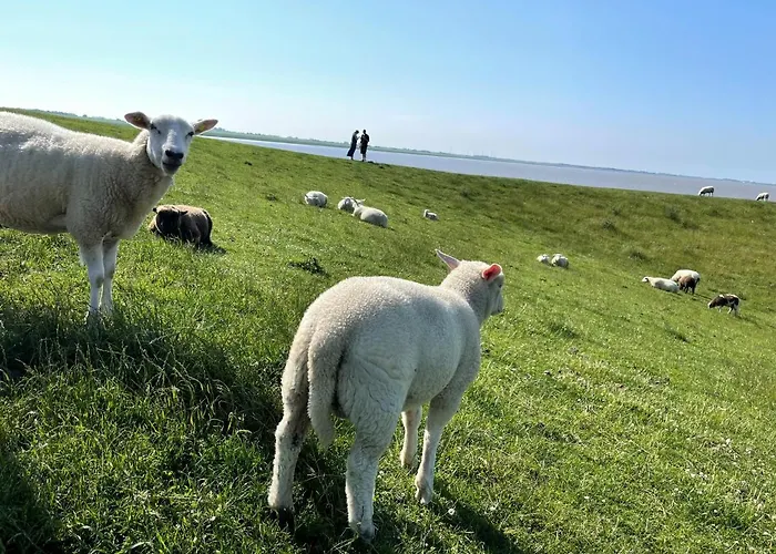 Deichkind, Am Alten Deich 4-6, 2 28 丹加斯特